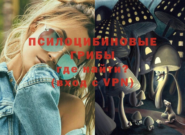 a pvp Саяногорск