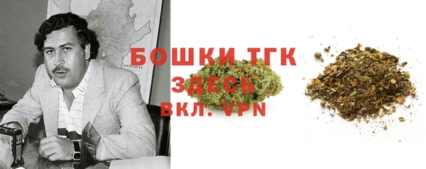 гашик Балахна