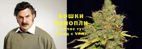 спайс Баксан