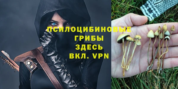 мяу мяу мука Балабаново