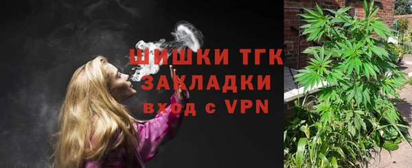 гашик Балахна