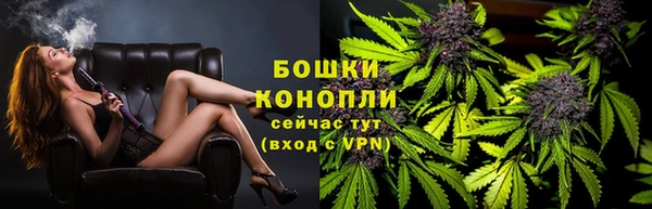 спайс Баксан