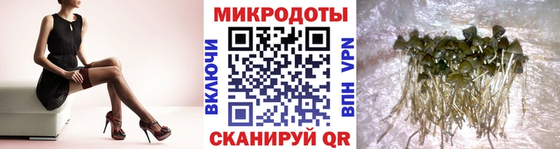 цены наркотик  Красный Кут  Псилоцибиновые грибы MAGIC MUSHROOMS 